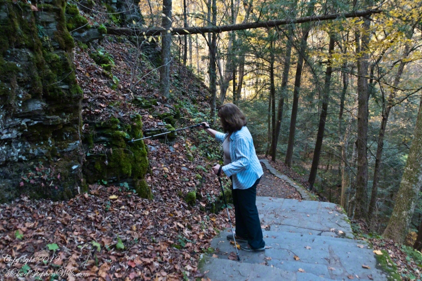 Pam examines the moss