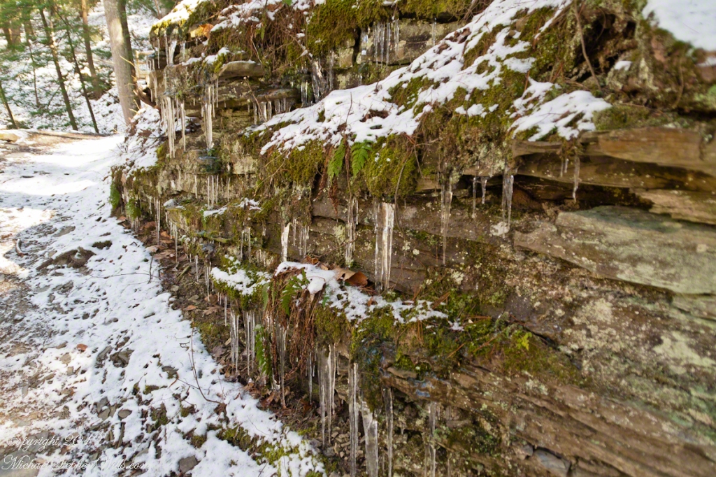 Rim Trail icicles